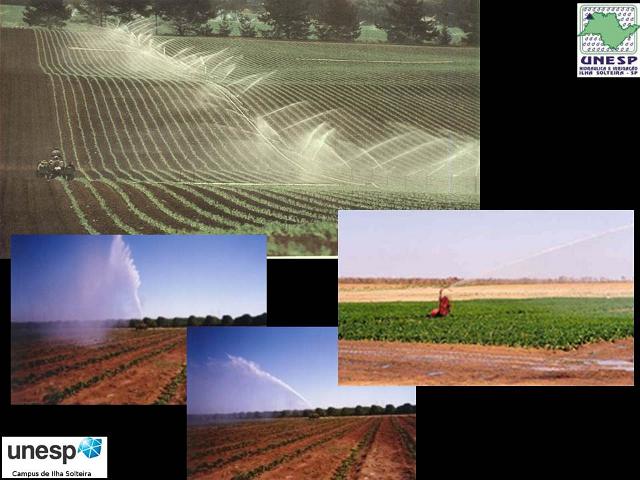 fernandopolis_25abr2012 (32).JPG